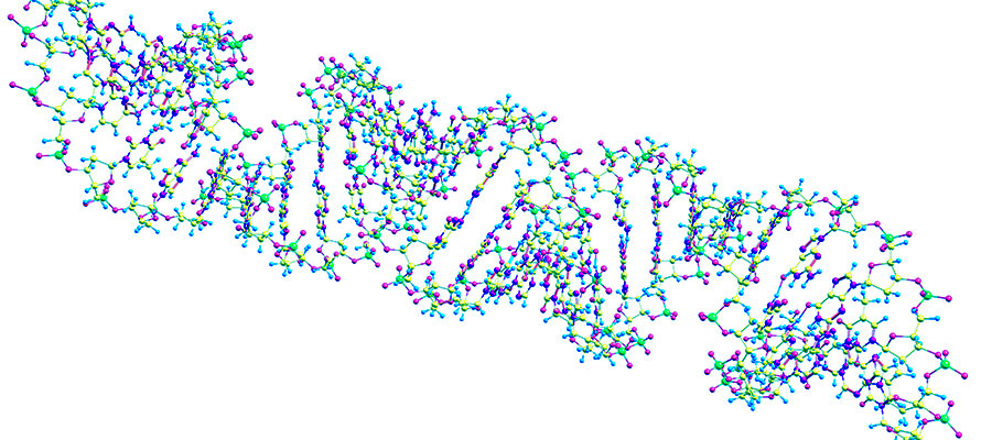 DNA