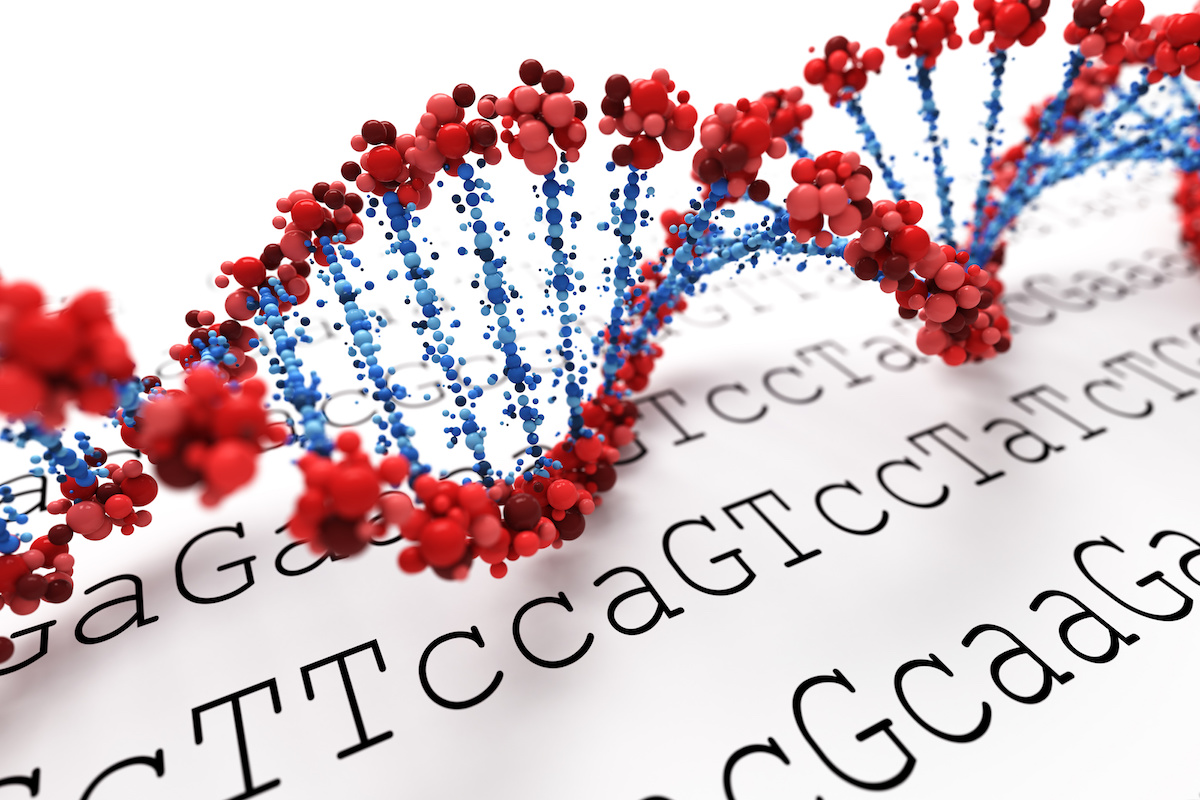 DNA Sequence