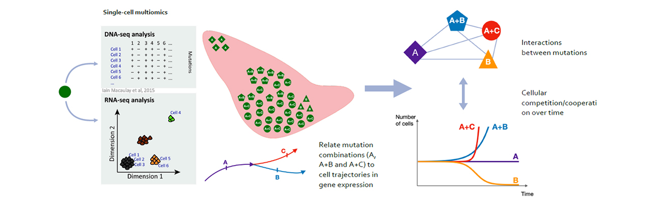 Graphical summary of the work proposed by Dr Khamseh