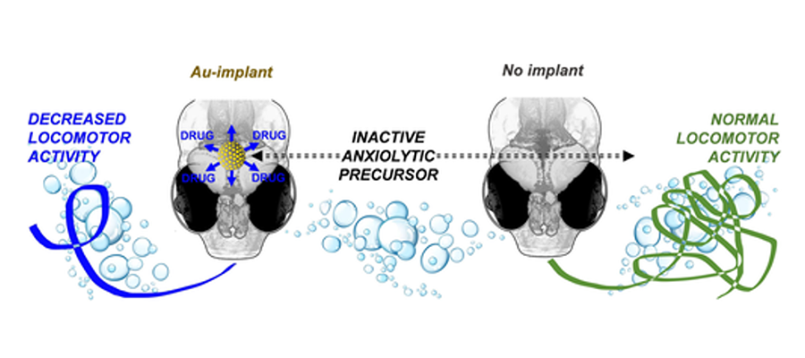 Graphical abstract of the work by Dr M. Carmen Ortega-Liebana and colleagues.