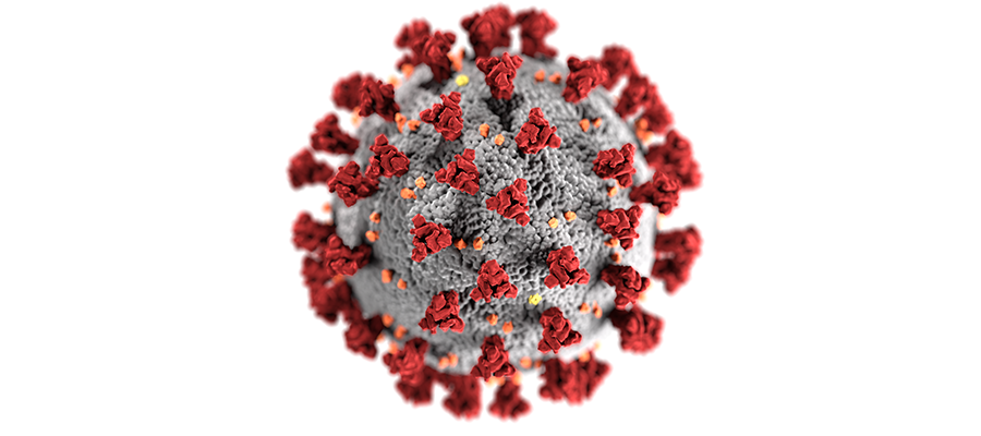 Covid-19 virus