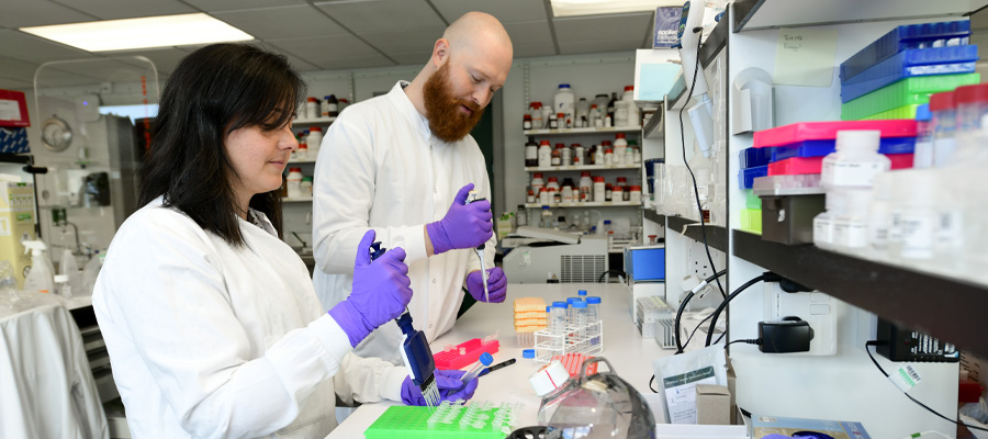 Scientists in the Lab