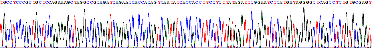 DNA sequencing image