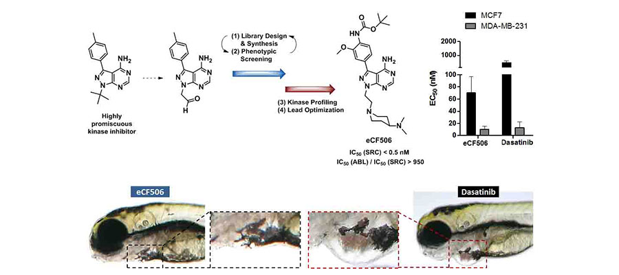 ECRC scientists develop new Src inhibitor with unique properties