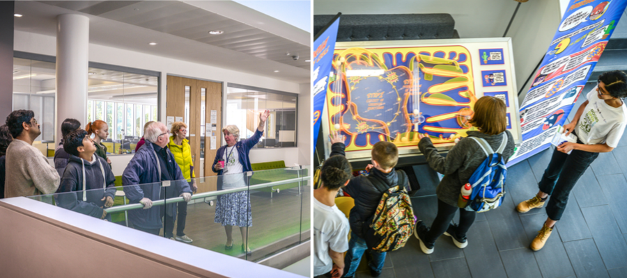 Visitors exploring IGMM for Doors Open Day 2019