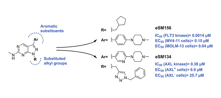 Novel inhibitors of oncogenic kinases