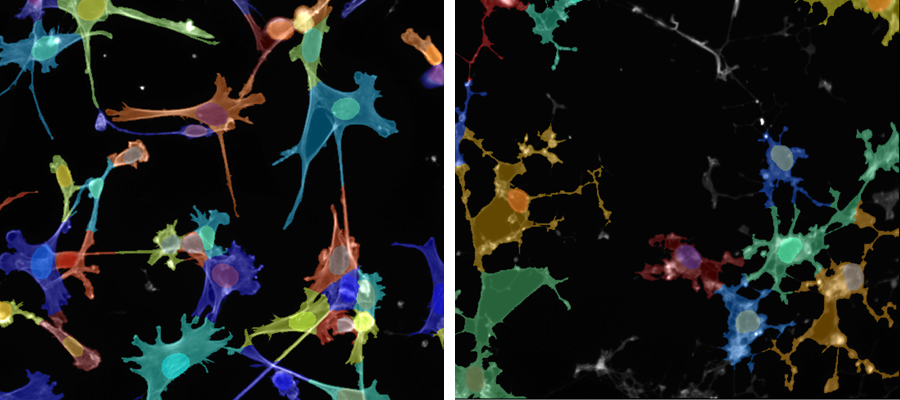 Phenotypic discovery facility research