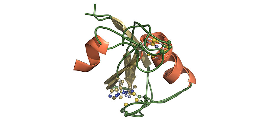 Proteomics