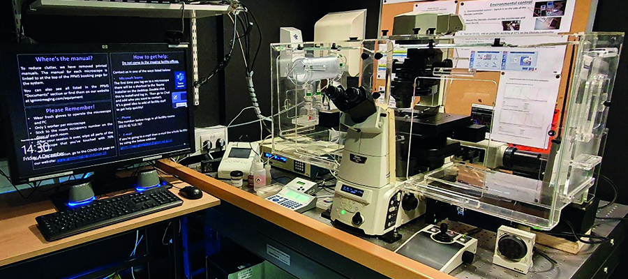 Scrumpy inverted epifluorescence microscope