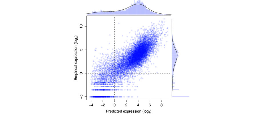 C.Semple research image