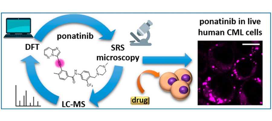 Graphical abstract of the work by Sepp et al.