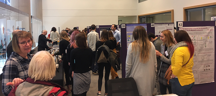 PhD Students and organisers networking at the lunch break before the poster session.