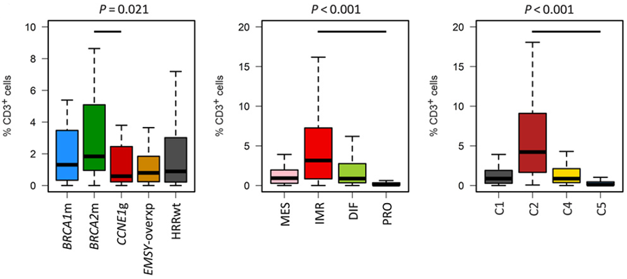 Tumour-infiltrating immune cells across high-grade serous carcinoma subtypes.