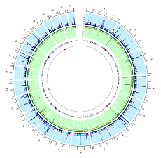 visual representation of serum GWAS findings